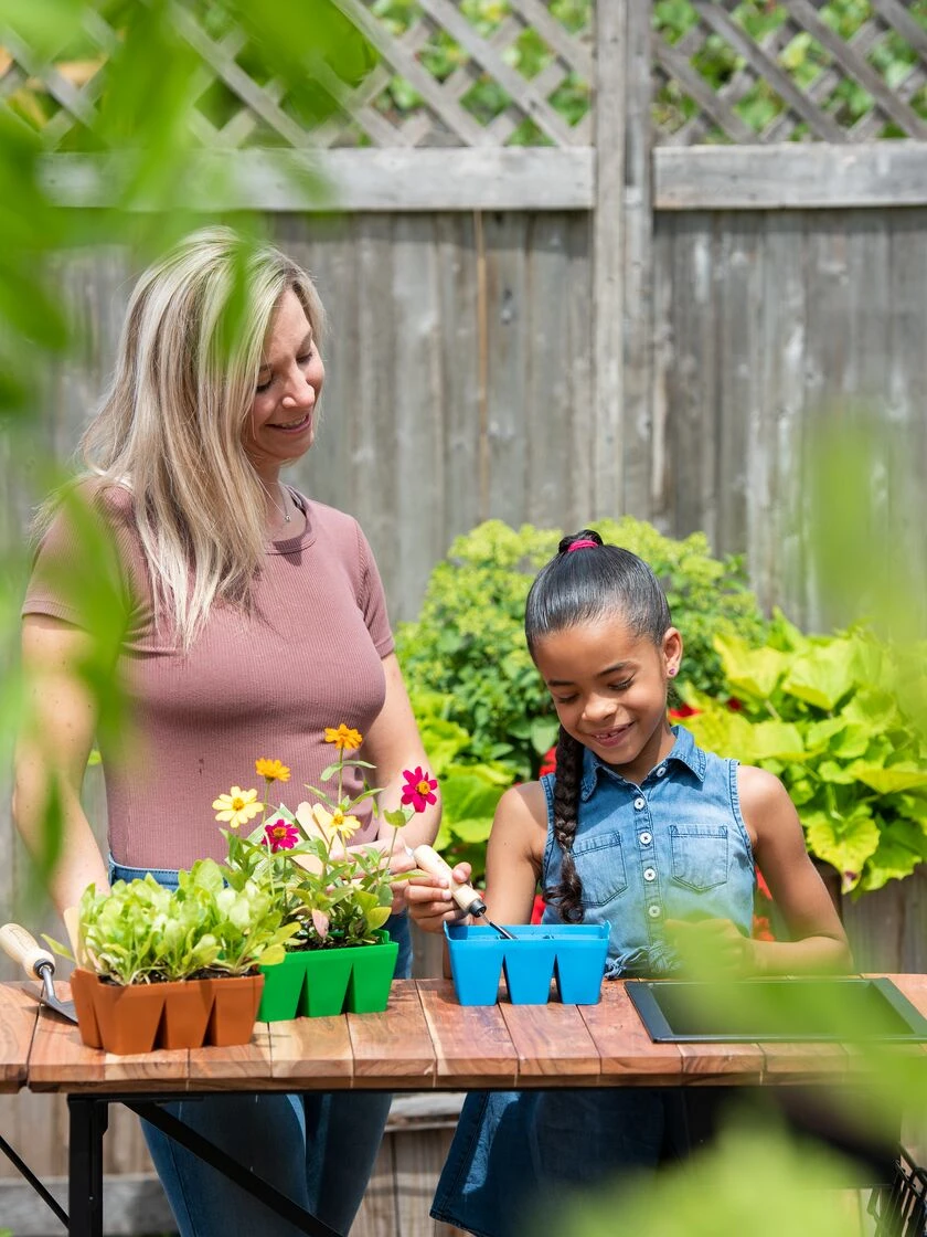 Sili-Seedlings® Seedling Tray, 6-Cell - Image 2