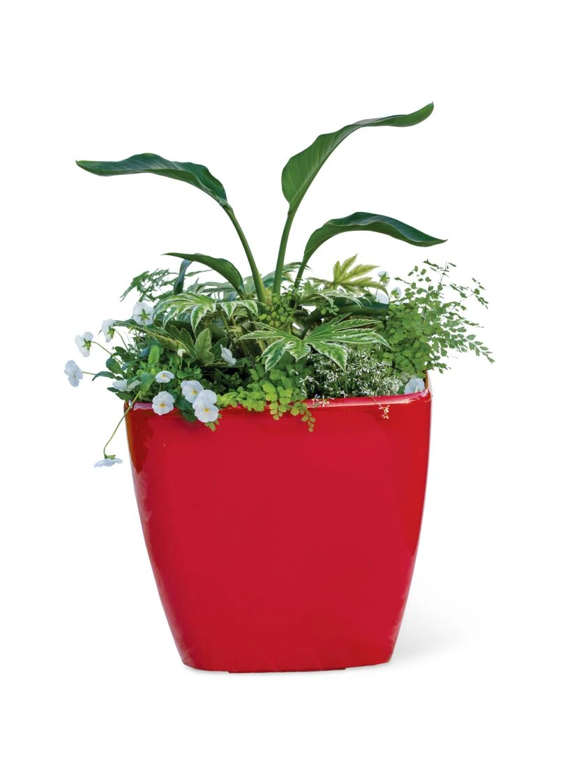 Viva Square Self-Watering Rolling Planter, 20" Diameter, Set Of 2 - Image 6