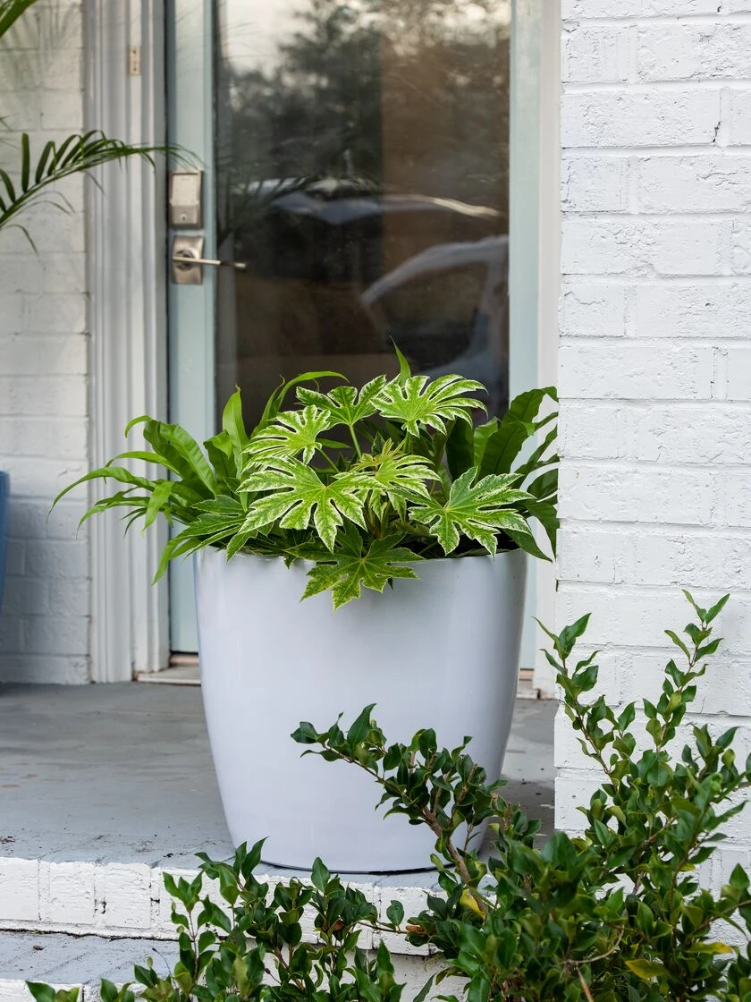 Viva Round Self-Watering Rolling Planter, 20" Diameter, Set Of 2 - Image 4