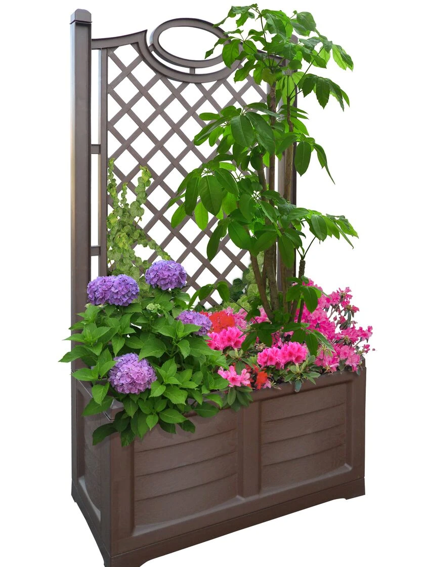 Separate Flower Box With Trellis - Image 9