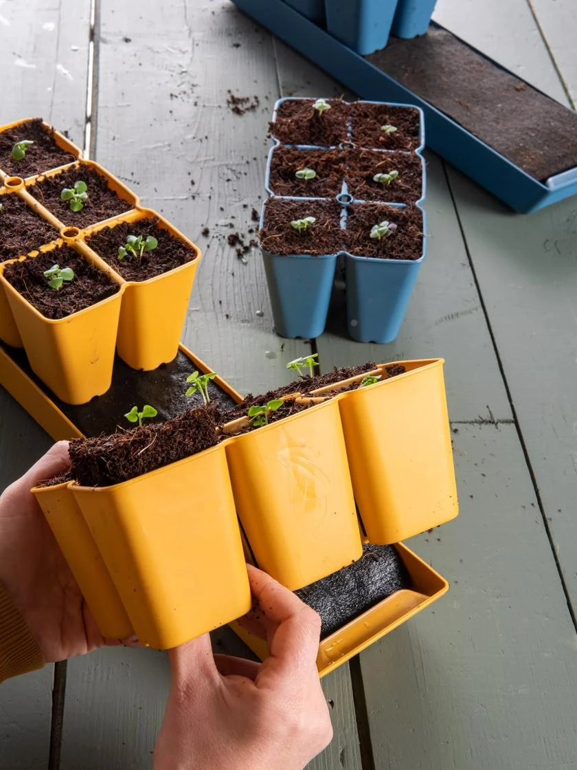 Gardener's Best® XL Seed Starting Kit - Image 10