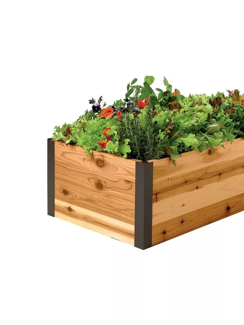 Deep Root Raised Beds, 14" Deep 2' Wide - Image 3