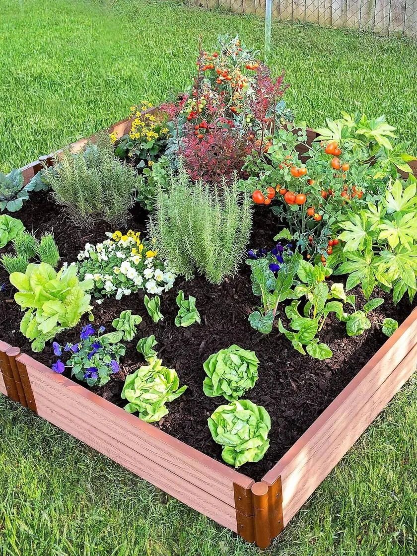 Classic Sienna Composite Raised Bed, 11" High With 2" Board - Image 6