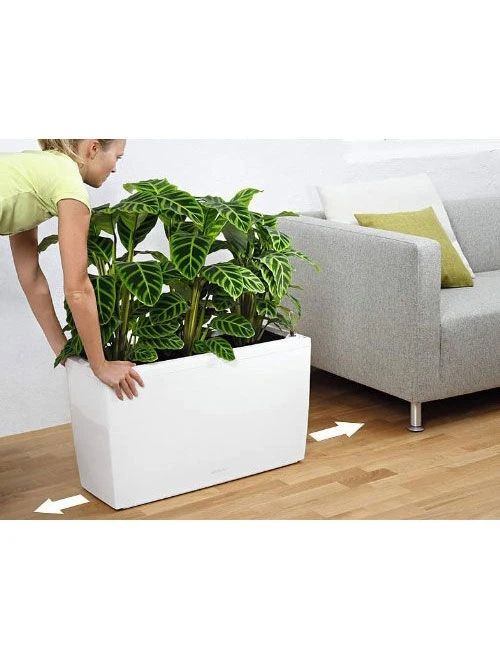Lechuza® Cararo Rectangular Indoor Planter With Casters - Image 4