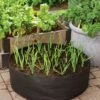 Garlic Grow Bag Kit