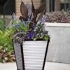 Galvanized Self-Watering Planters
