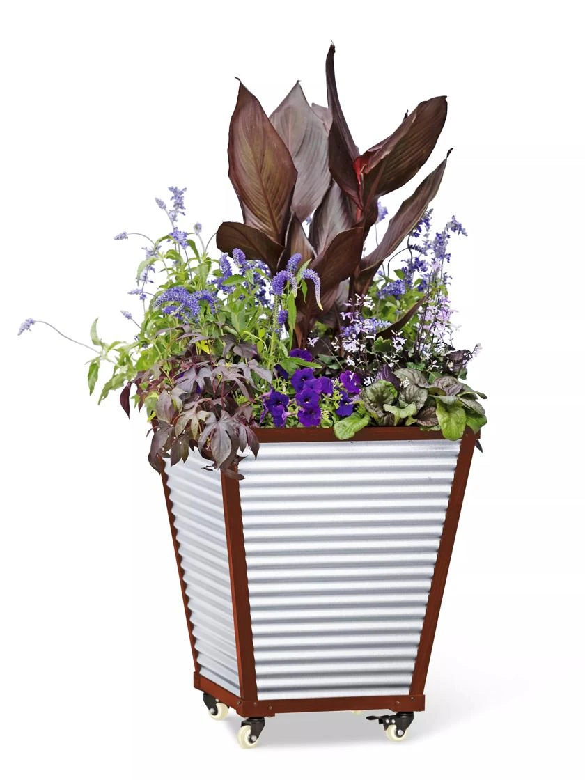 Galvanized Self-Watering Planters - Image 4