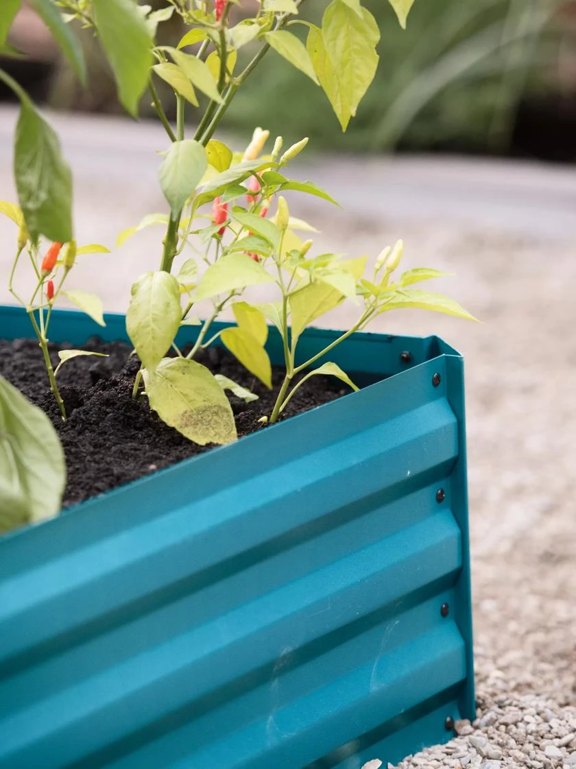 Demeter Corrugated Metal Raised Bed, 34" X 68" - Image 6