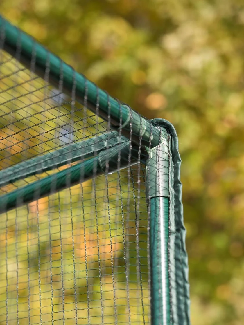 Pest-Free Garden - Image 2