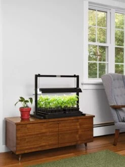 LED SunLite® Compact Tabletop Garden