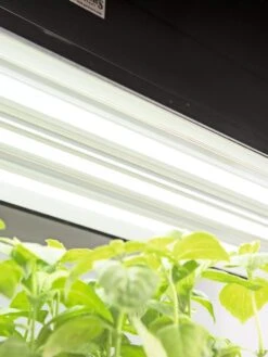 LED SunLite® High Intensity Fixture