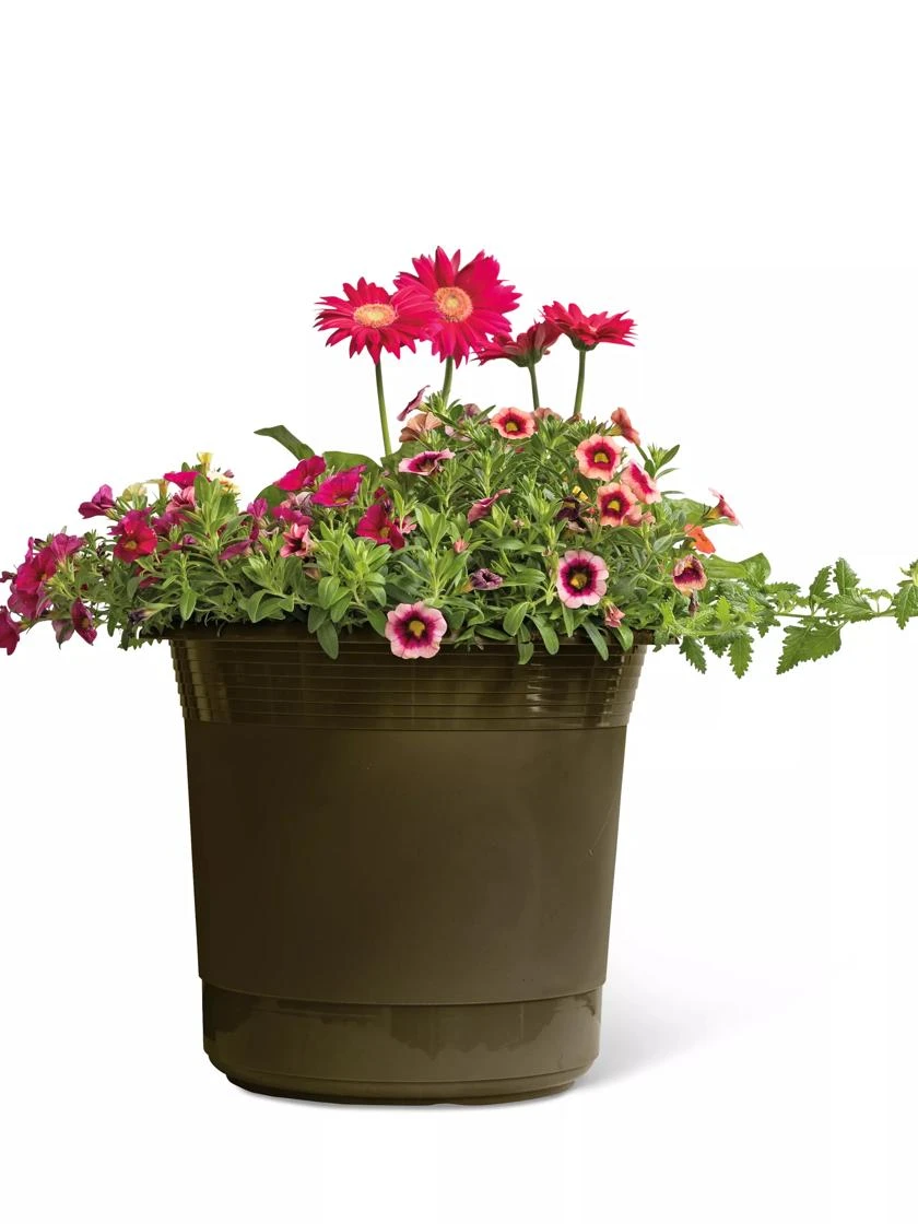 Eezy Gro Self-Watering Planters - Image 4