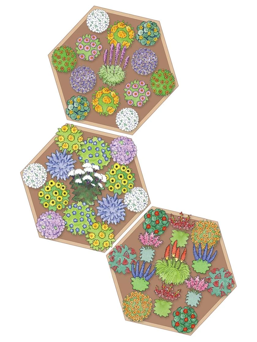 Pollinator Garden Bed - Image 3