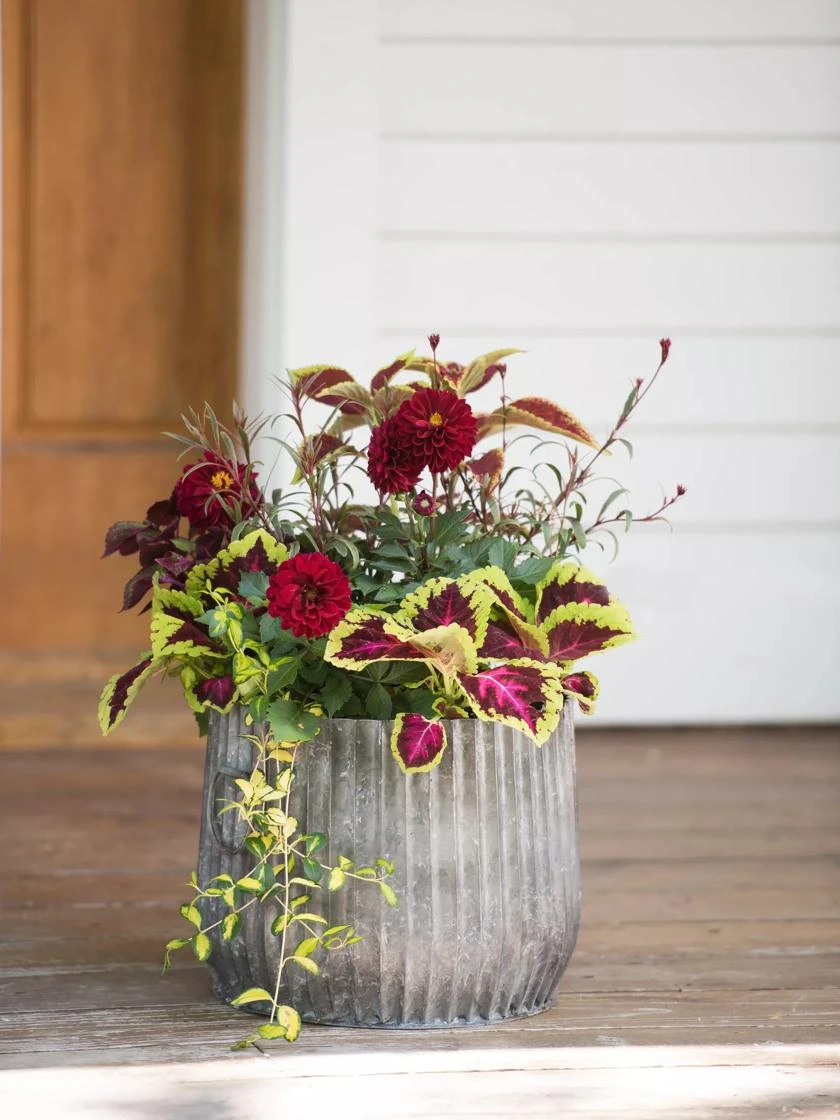 Galvanized Ribbed Planters - Image 3