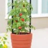 Gardener’s Victory Self-Watering Planter With Support System