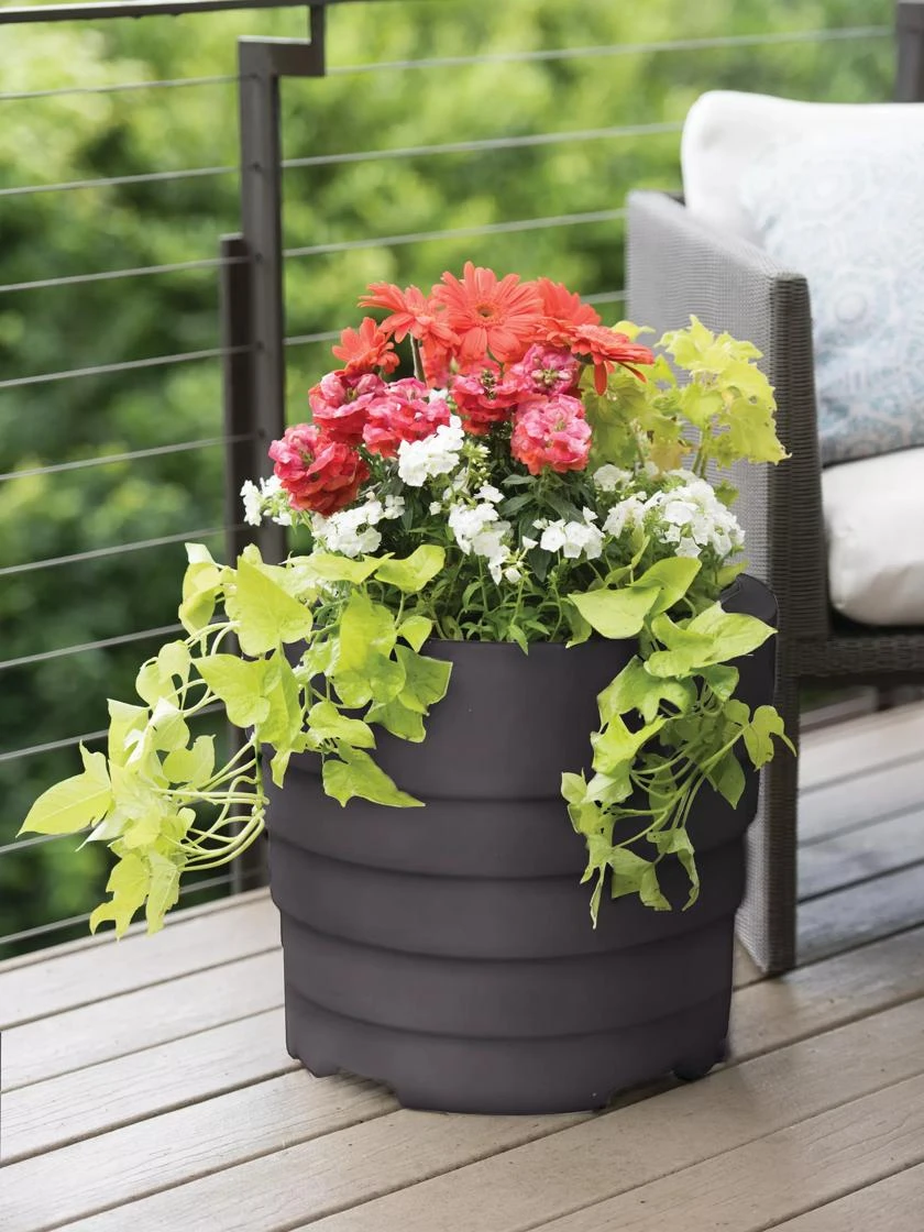 Gardener’s Victory Self-Watering Patio Planter - Image 3