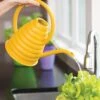 Bee Skep Watering Can