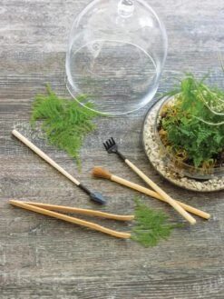 Terrarium Tools, Set Of 4