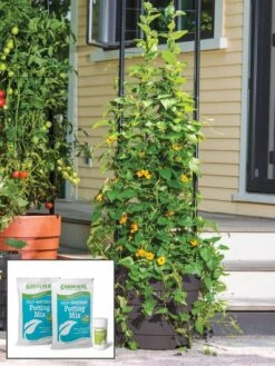 Gardenerās Victory Self-Watering Planter Garden With Vine Trellis