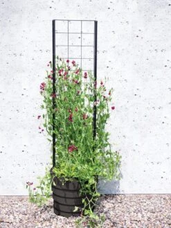 Gardenerās Victory Self-Watering Planter With Vine Trellis