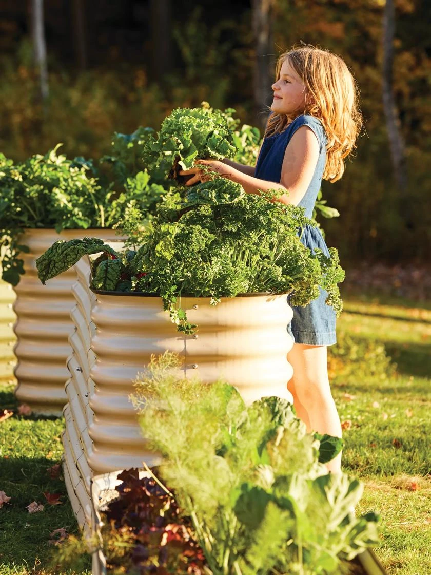 Birdies™ Modular Metal Raised Bed, Tall - Image 5