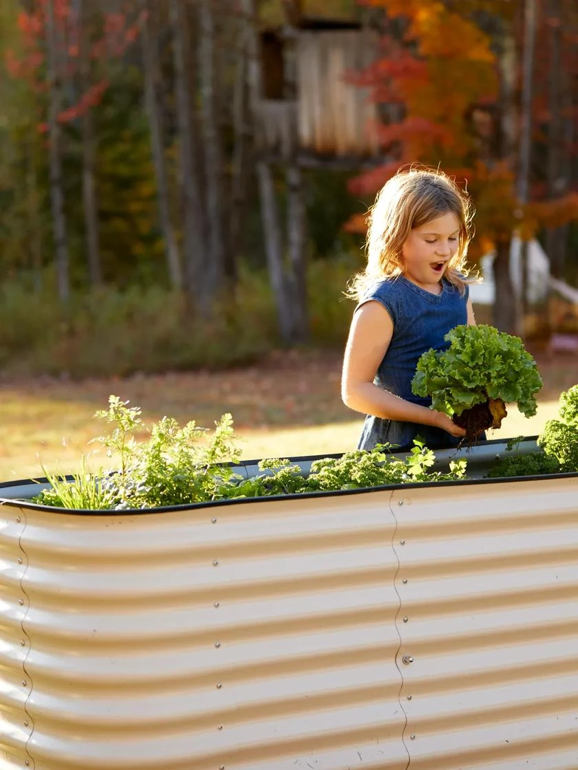Birdies™ Modular Metal Raised Bed, Tall - Image 4