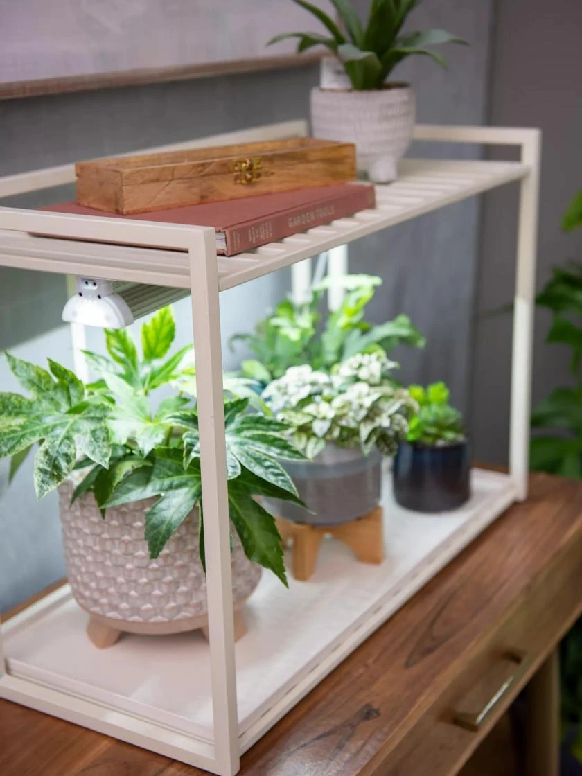 Oslo 1-Tier LED Grow Light Garden - Image 3