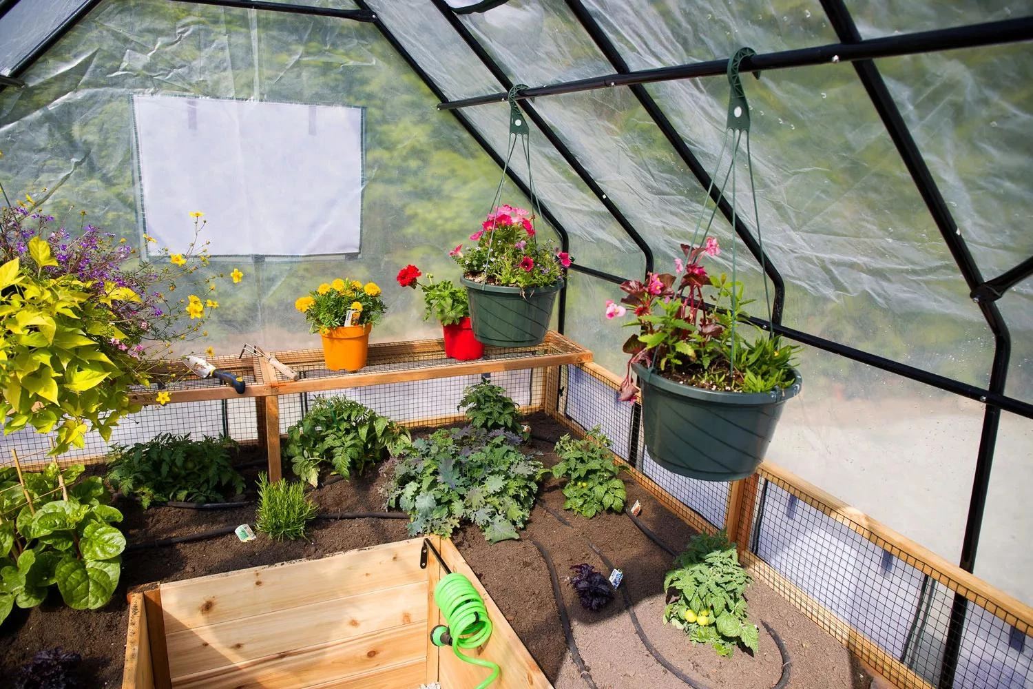 Garden In A Box With Greenhouse, 8' X 8' - Image 2