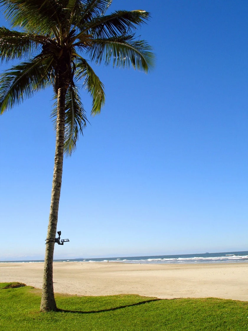 MAXSA® Solar-Powered LED Flag Light - Image 3