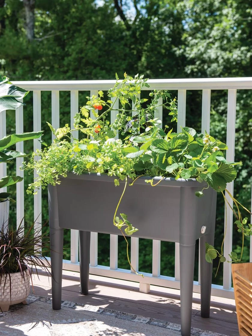 Self-Watering Standing Salad Planter With Cloche - Image 2