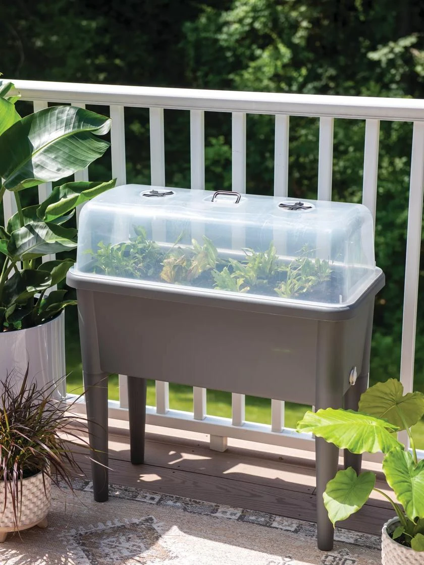 Self-Watering Standing Salad Planter With Cloche