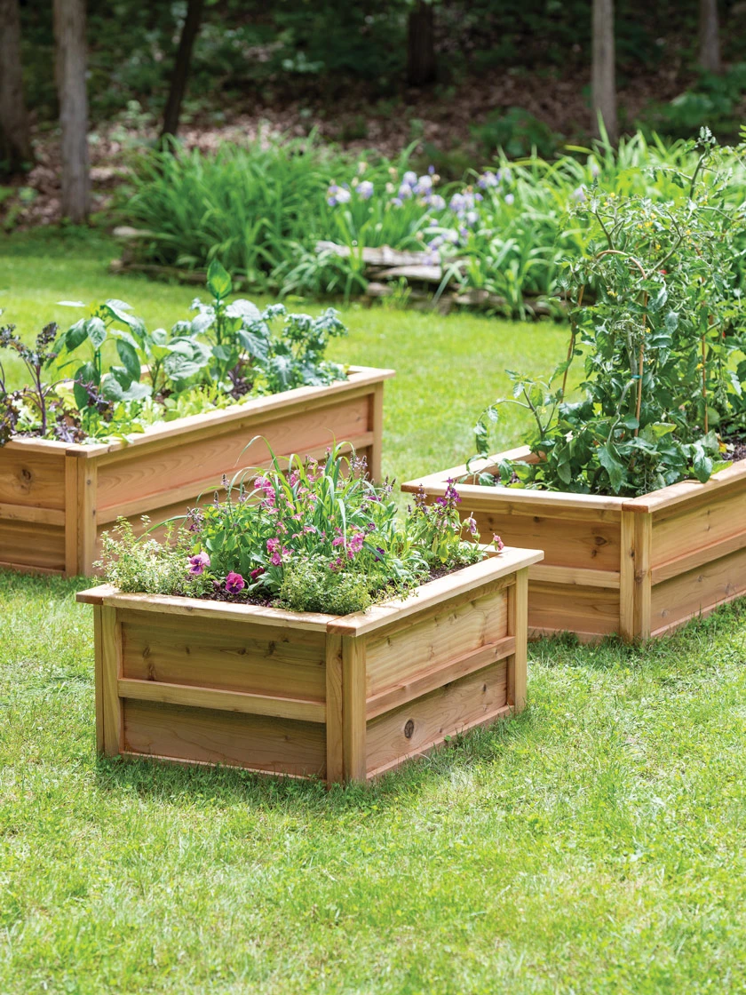 Craftsbury Raised Beds - Image 2