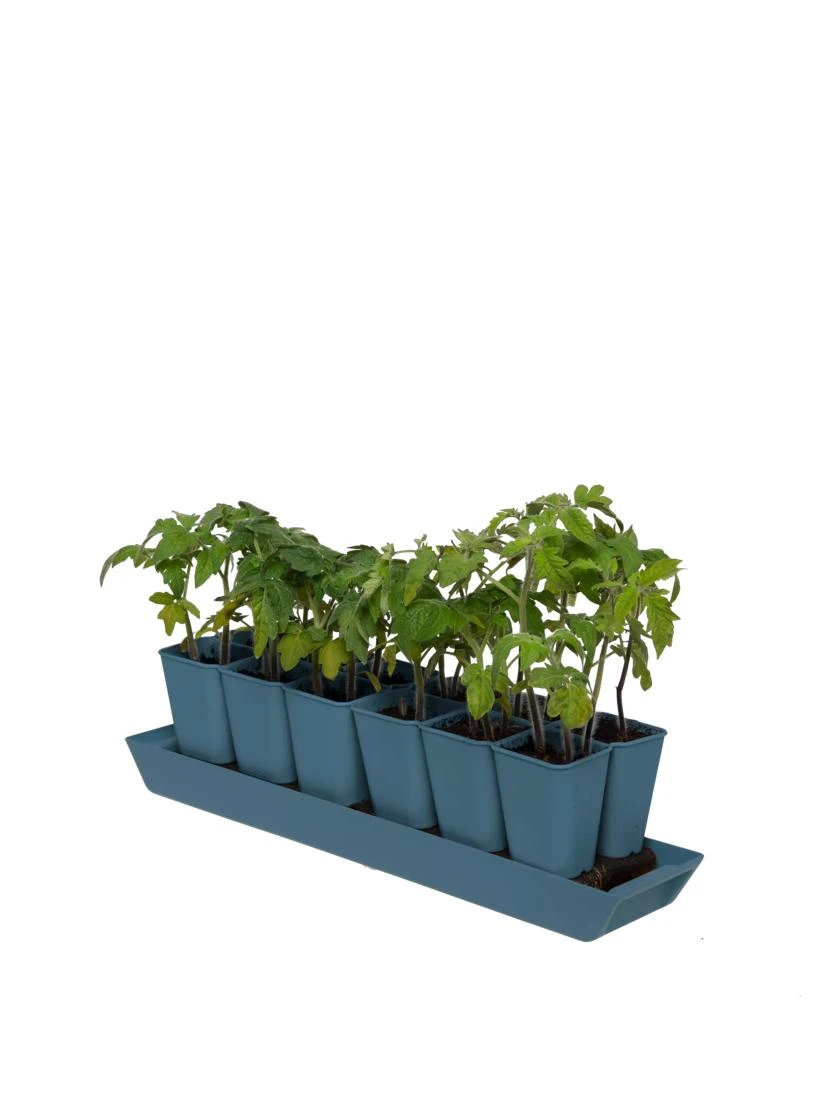 Gardener's Best® XL Seed Starting Kit - Image 6