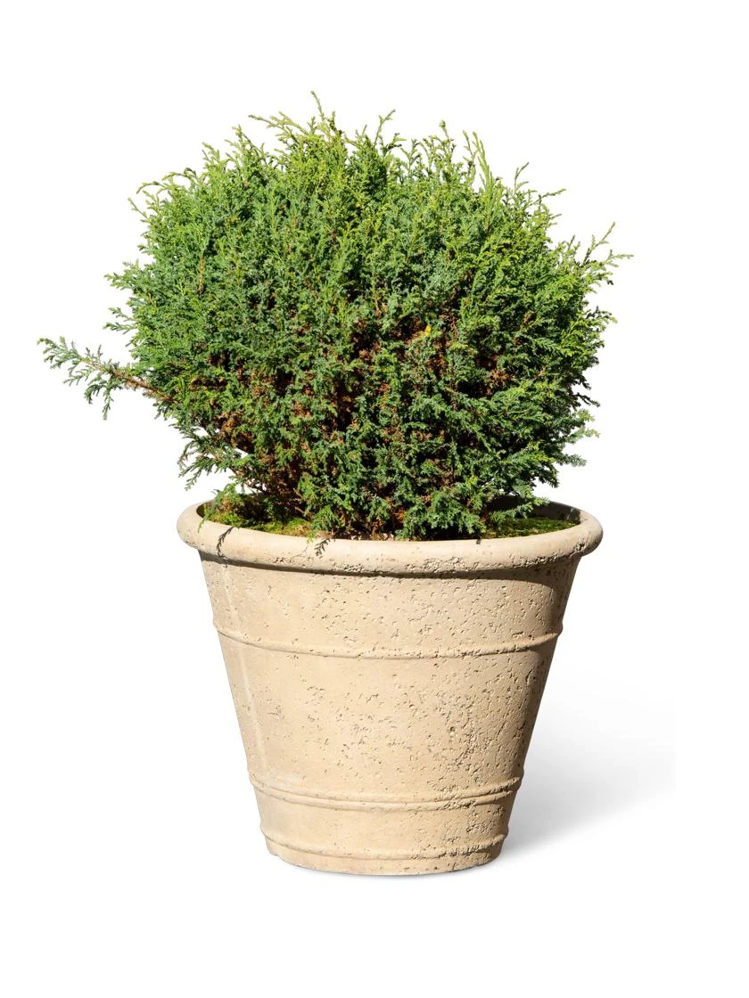 Self-Watering LavaStoneĀ® Anson Pot - Image 5