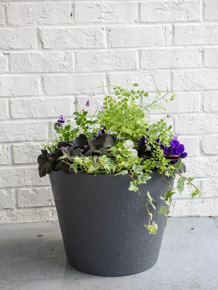 Self-Watering FiberStone Planters - Image 4