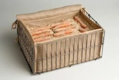 Root Storage Bin