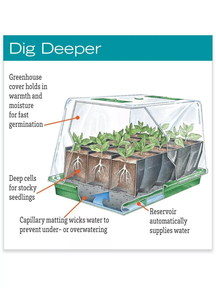 Deep Root Seedstarting System, Black - Image 2