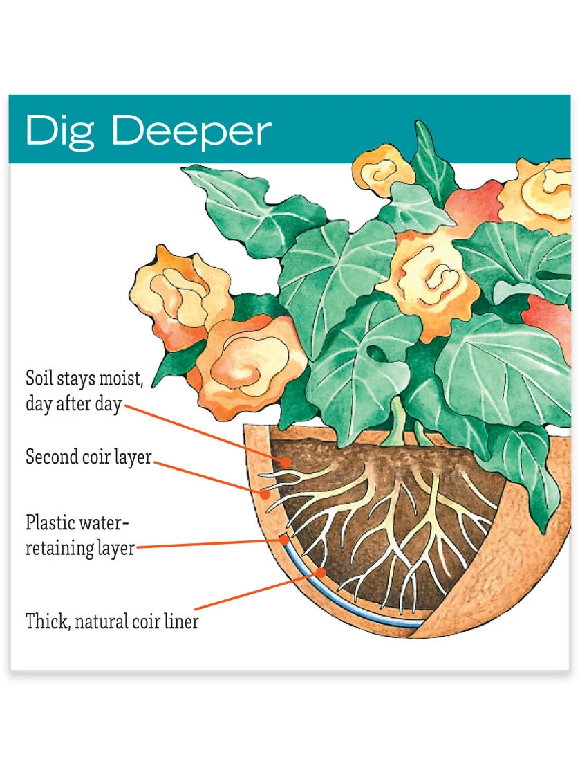 AquaSavâ„¢ Replacement Liners, Set Of 3 - Image 3